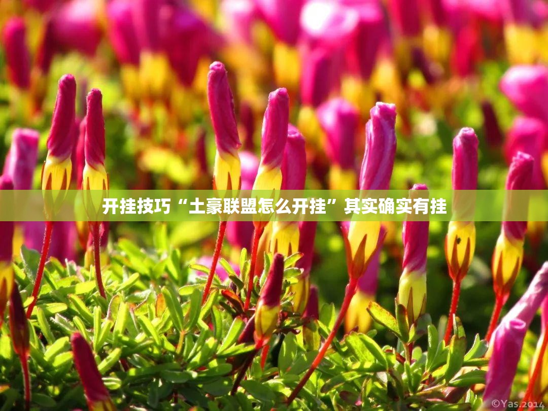 开挂技巧“土豪联盟怎么开挂	”其实确实有挂