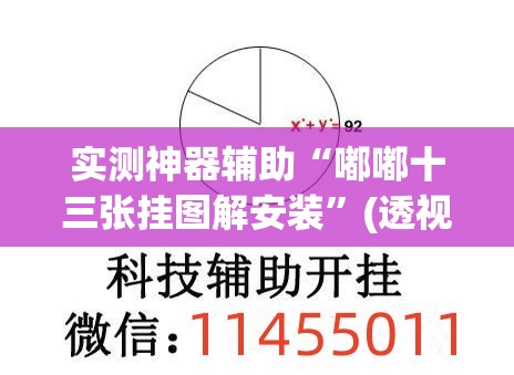 实测神器辅助“嘟嘟十三张挂图解安装	”(透视挂)辅助下载教程