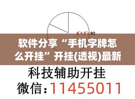 软件分享“手机字牌怎么开挂”开挂(透视)最新辅助详细