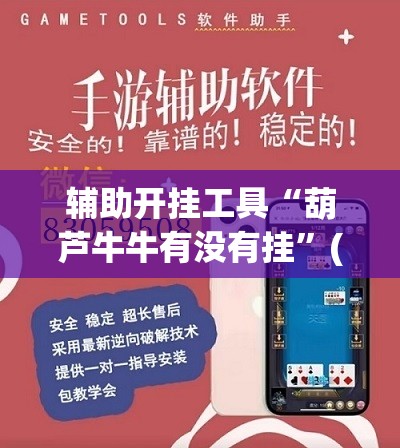 辅助开挂工具“葫芦牛牛有没有挂”(透视挂)辅助下载教程