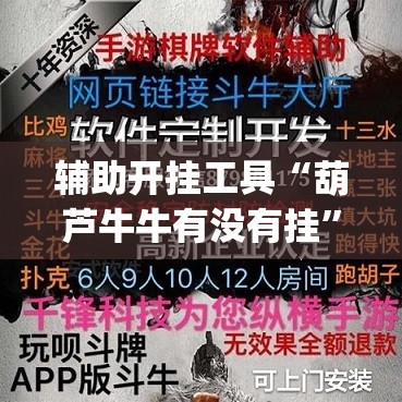 辅助开挂工具“葫芦牛牛有没有挂”(透视挂)辅助下载教程
