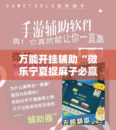 万能开挂辅助“微乐宁夏捉麻子必赢神器”详细外挂透视辅助软件教程