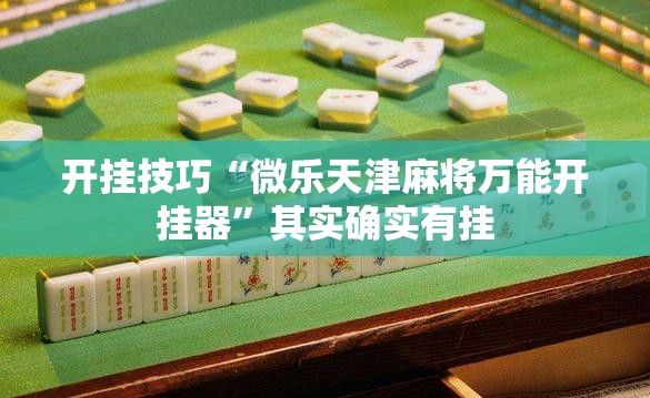 开挂技巧“微乐天津麻将万能开挂器”其实确实有挂