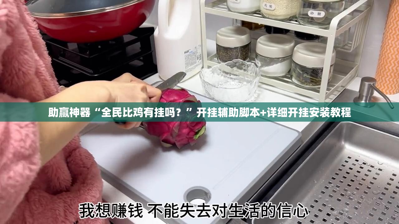 助赢神器“全民比鸡有挂吗？	”开挂辅助脚本+详细开挂安装教程