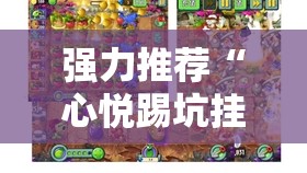 强力推荐“心悦踢坑挂下载免费”详细分享装挂步骤