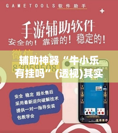 辅助神器“牛小乐有挂吗”(透视)其实确实有挂