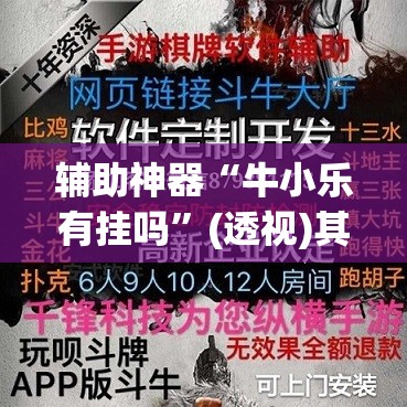 辅助神器“牛小乐有挂吗”(透视)其实确实有挂