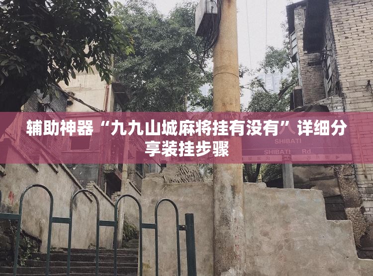辅助神器“九九山城麻将挂有没有”详细分享装挂步骤