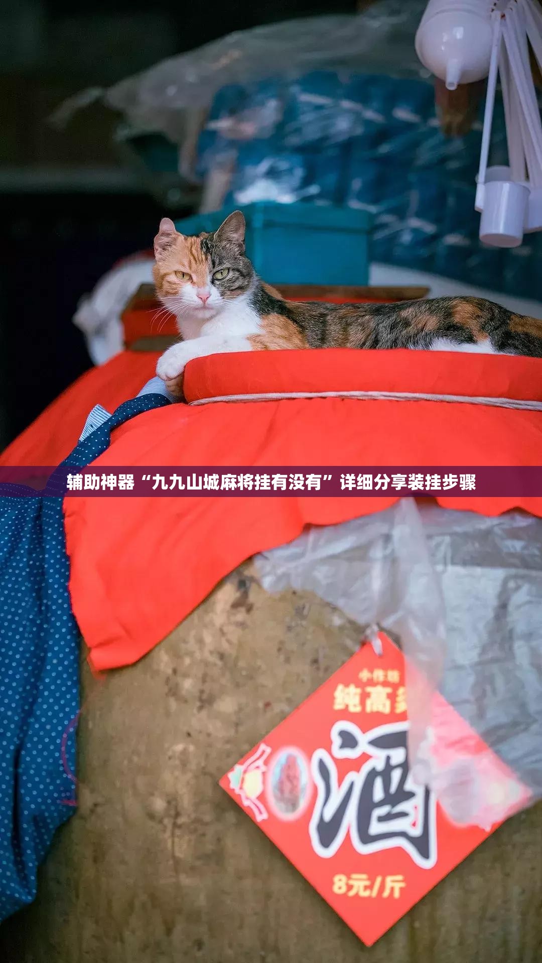 辅助神器“九九山城麻将挂有没有	”详细分享装挂步骤