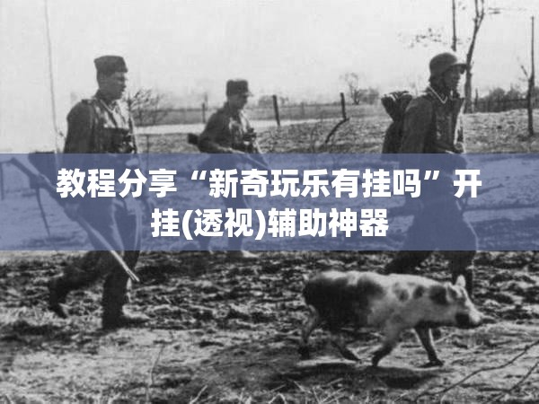 教程分享“新奇玩乐有挂吗	”开挂(透视)辅助神器