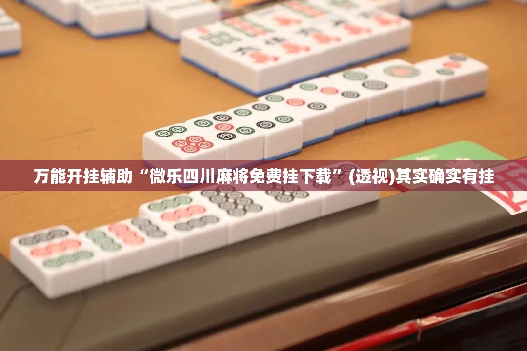 万能开挂辅助“微乐四川麻将免费挂下载”(透视)其实确实有挂