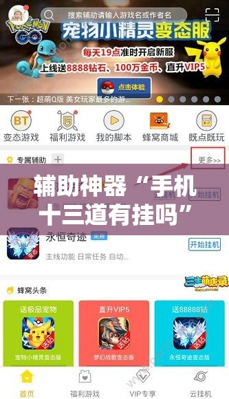 辅助神器“手机十三道有挂吗”细辅助教程分享