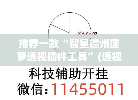 推荐一款“智星德州菠萝透视插件工具”(透视)其实确实有挂