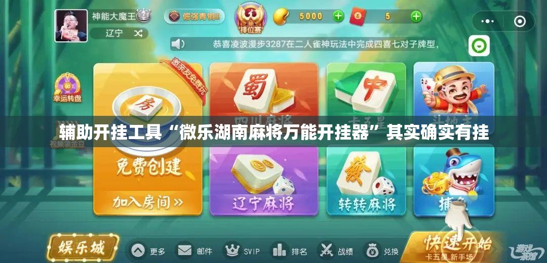 辅助开挂工具“微乐湖南麻将万能开挂器”其实确实有挂