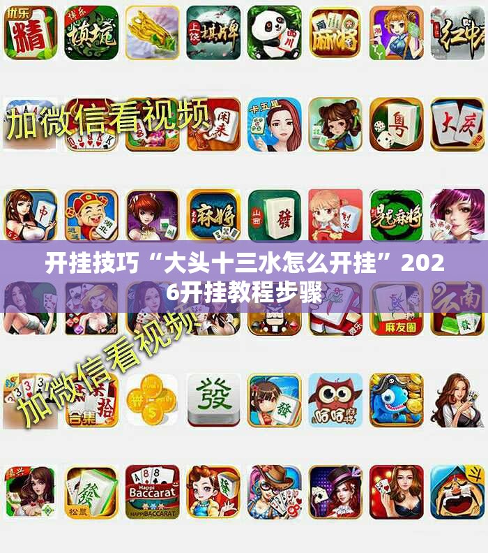 开挂技巧“大头十三水怎么开挂”2026开挂教程步骤