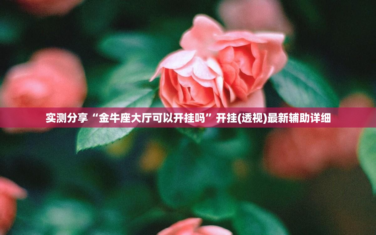 实测分享“金牛座大厅可以开挂吗”开挂(透视)最新辅助详细
