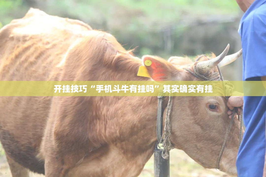 开挂技巧“手机斗牛有挂吗”其实确实有挂