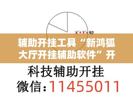辅助开挂工具“新鸿狐大厅开挂辅助软件	”开挂详细教程
