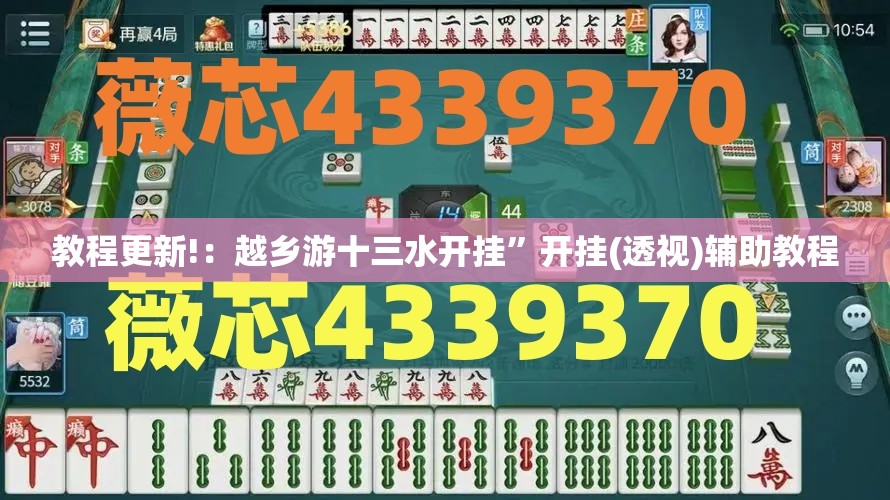 教程更新!：越乡游十三水开挂”开挂(透视)辅助教程