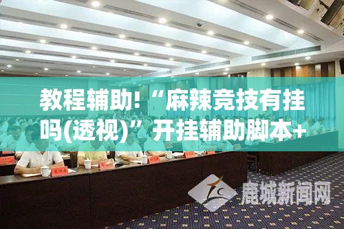 教程辅助!“麻辣竞技有挂吗(透视)”开挂辅助脚本+详细开挂安装教程