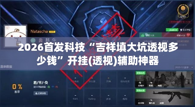 2026首发科技“吉祥填大坑透视多少钱”开挂(透视)辅助神器
