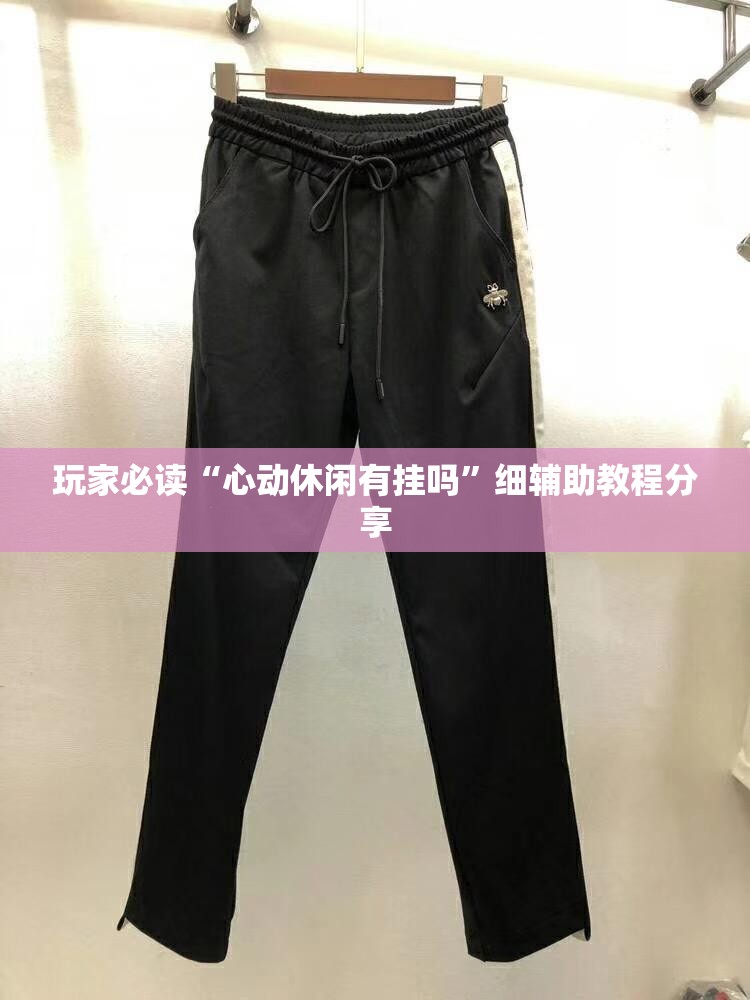 玩家必读“心动休闲有挂吗”细辅助教程分享