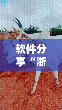 软件分享“浙江游戏大厅手机开挂免费”科技辅助神器手机版