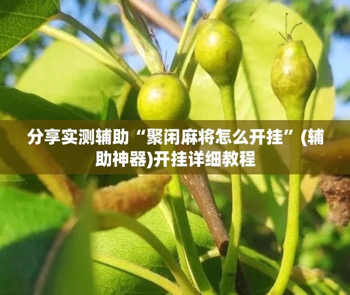分享实测辅助“聚闲麻将怎么开挂”(辅助神器)开挂详细教程
