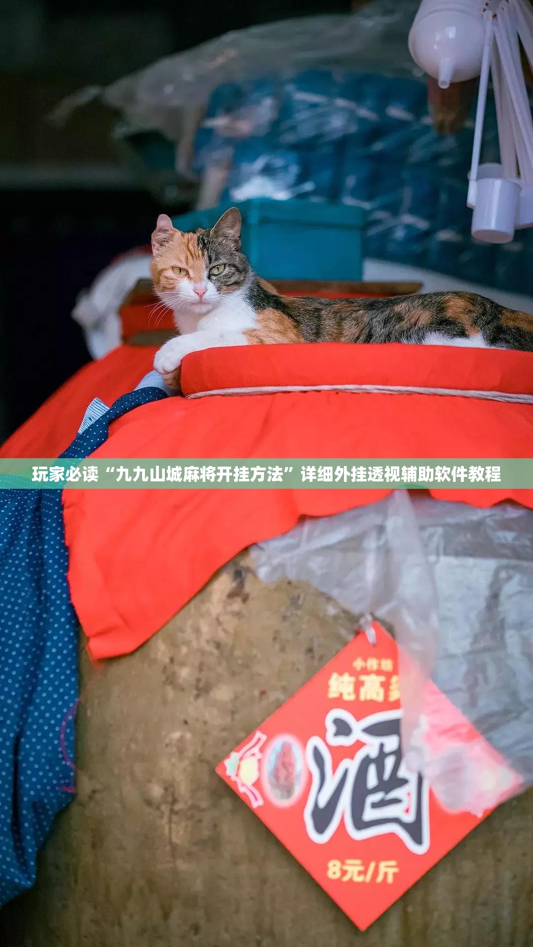 玩家必读“九九山城麻将开挂方法”详细外挂透视辅助软件教程