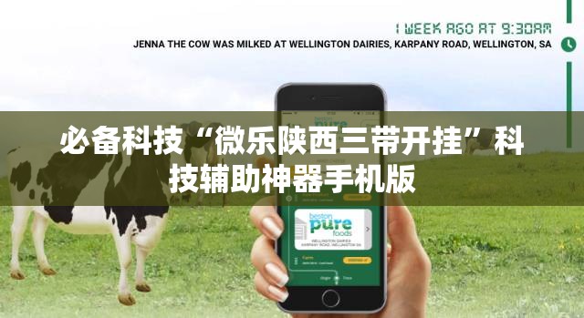 必备科技“微乐陕西三带开挂”科技辅助神器手机版