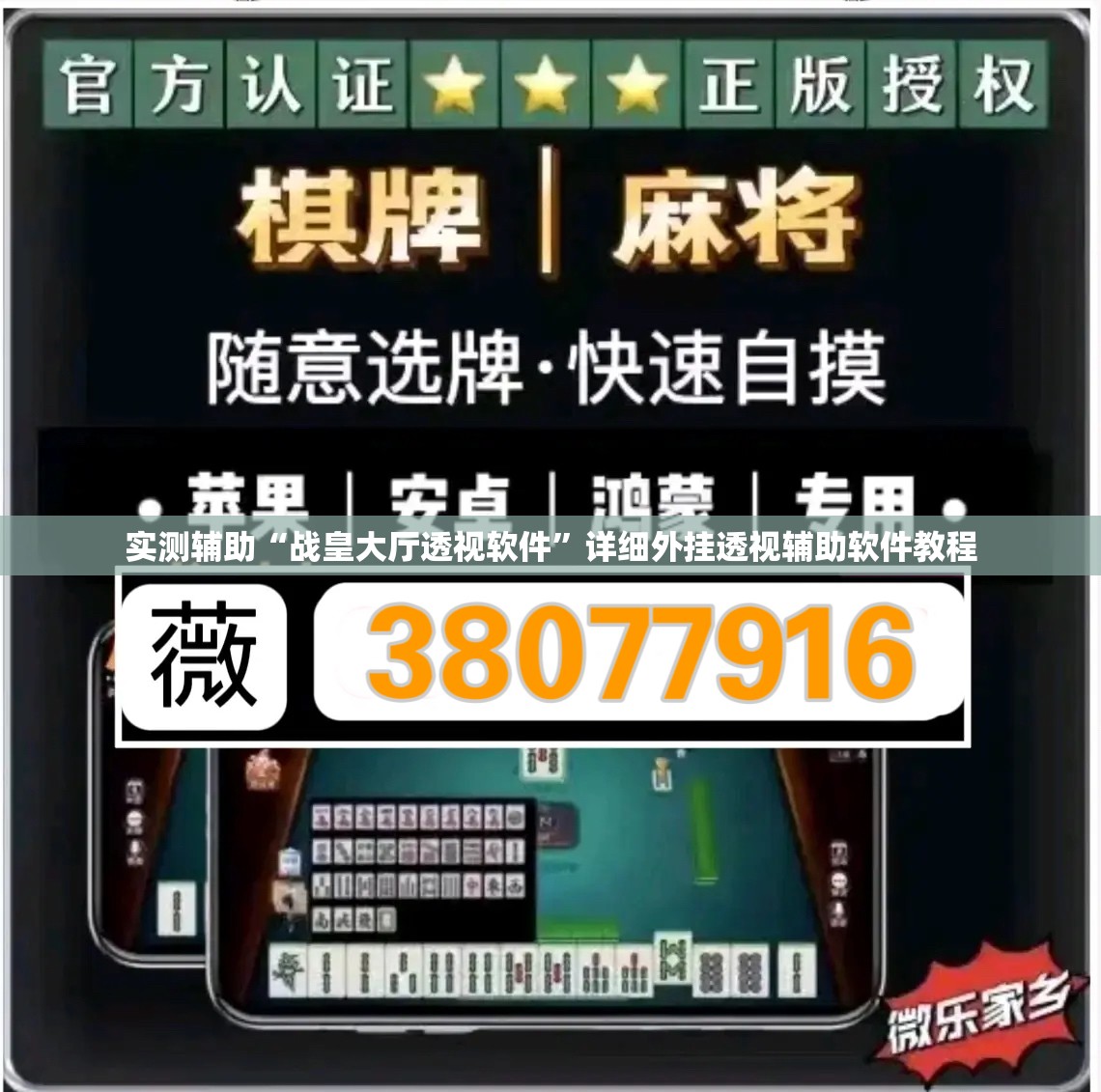 实测辅助“战皇大厅透视软件”详细外挂透视辅助软件教程