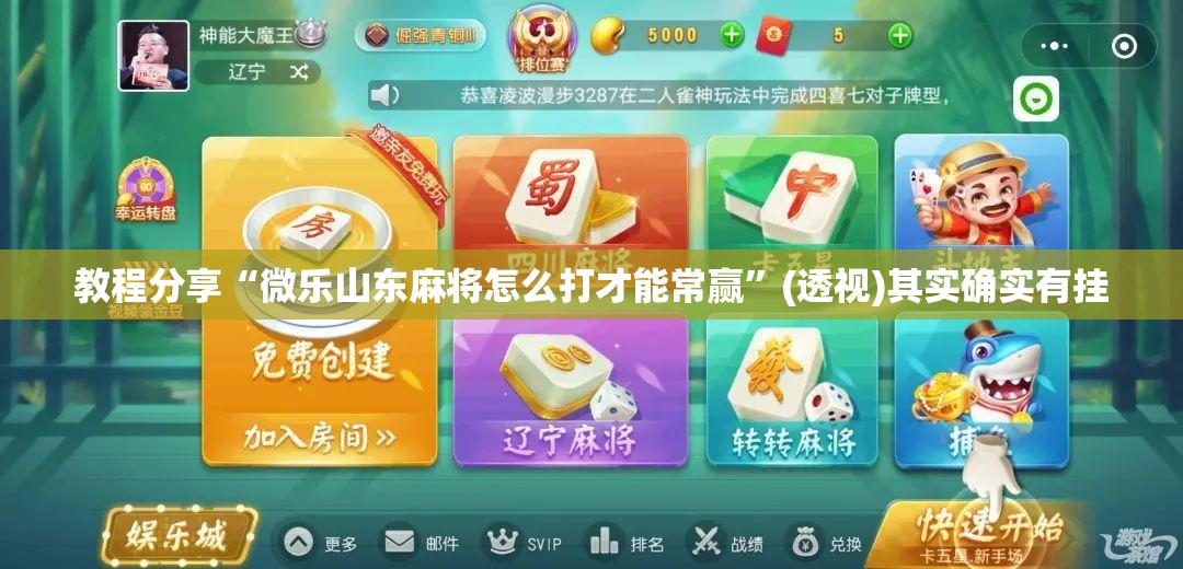 教程分享“微乐山东麻将怎么打才能常赢”(透视)其实确实有挂