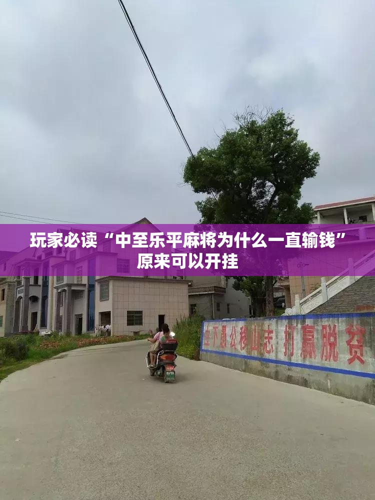 玩家必读“中至乐平麻将为什么一直输钱”原来可以开挂