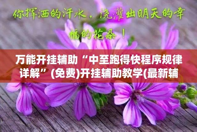 万能开挂辅助“中至跑得快程序规律详解”(免费)开挂辅助教学(最新辅助开挂教程)
