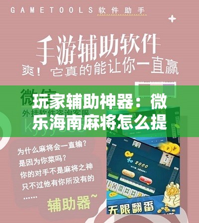 玩家辅助神器：微乐海南麻将怎么提高胜率”其实确实有挂