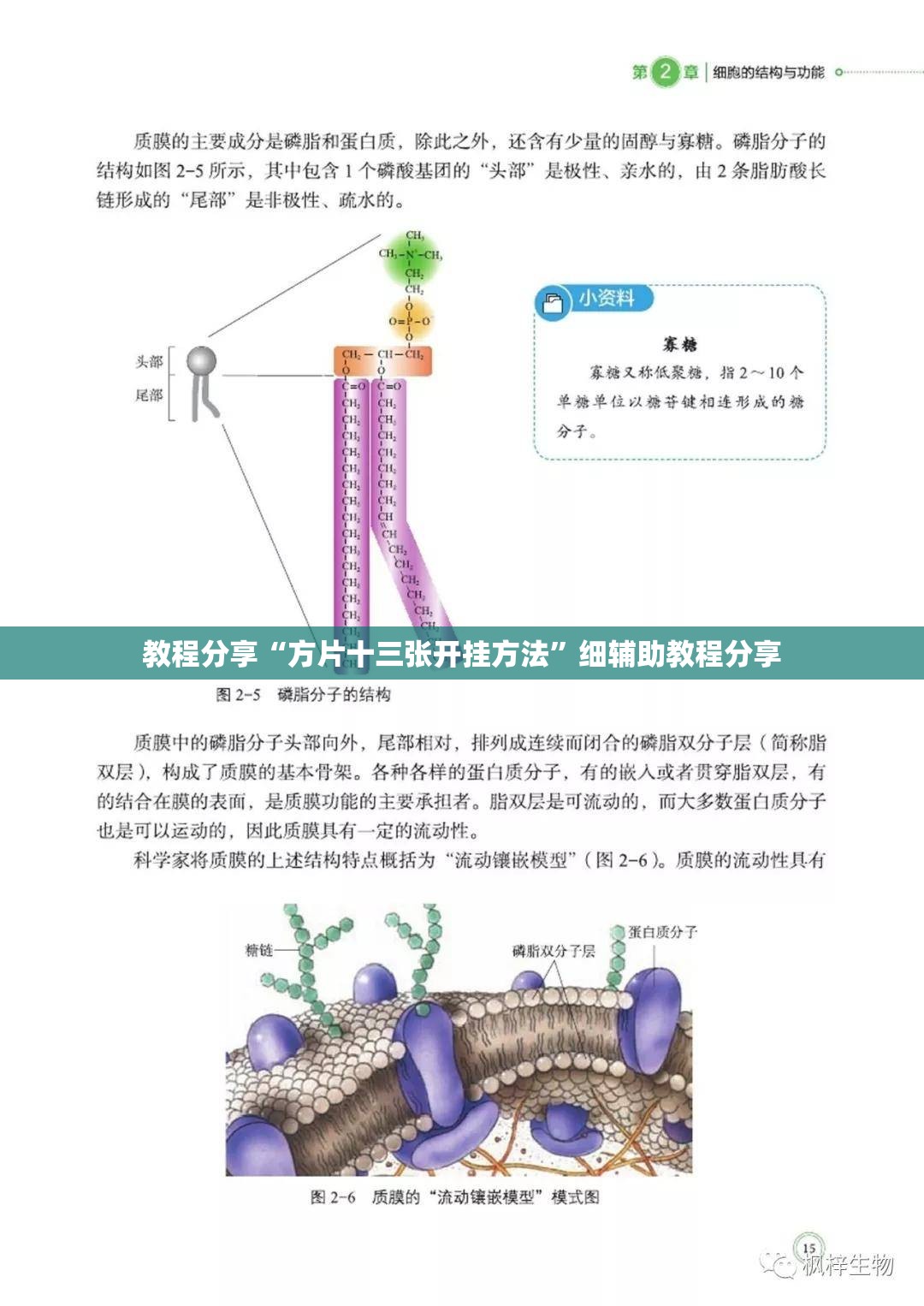 教程分享“方片十三张开挂方法”细辅助教程分享