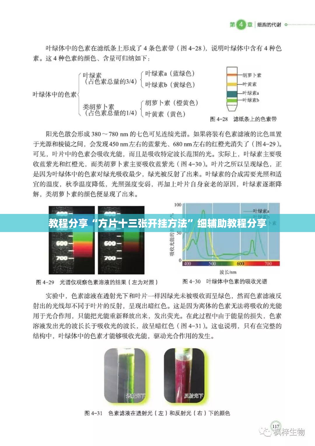 教程分享“方片十三张开挂方法”细辅助教程分享