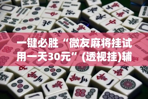 一键必胜“微友麻将挂试用一天30元”(透视挂)辅助下载教程