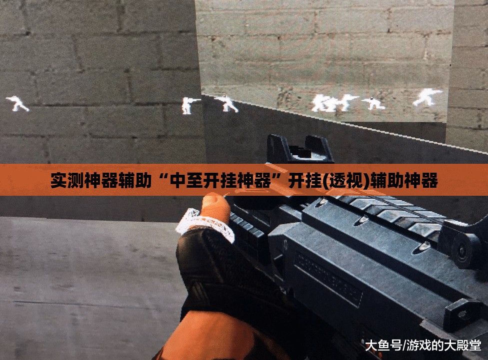 实测神器辅助“中至开挂神器	”开挂(透视)辅助神器