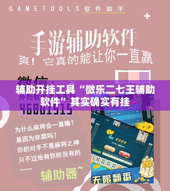 辅助开挂工具“微乐二七王辅助软件”其实确实有挂