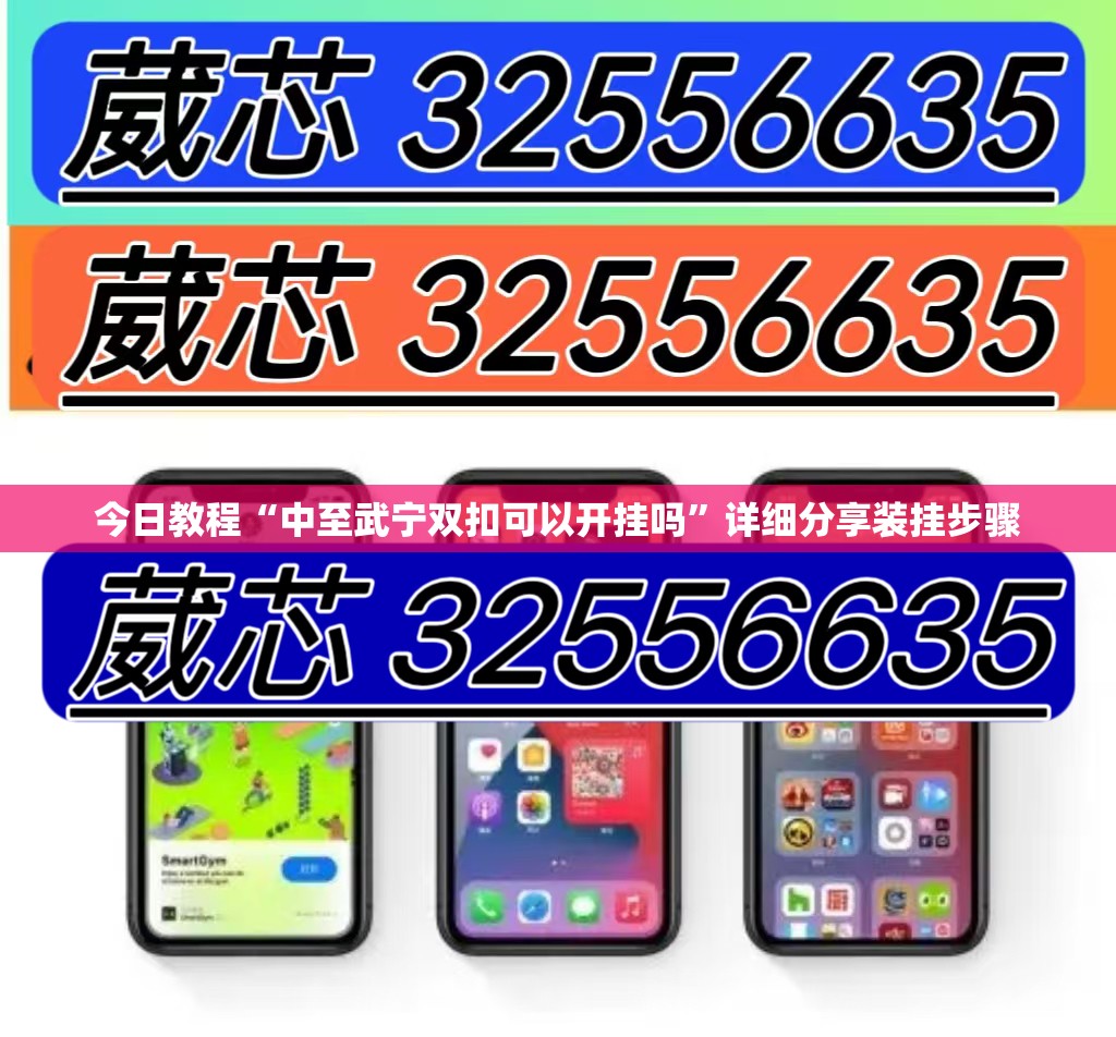 今日教程“中至武宁双扣可以开挂吗”详细分享装挂步骤