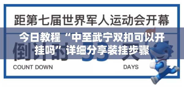 今日教程“中至武宁双扣可以开挂吗”详细分享装挂步骤