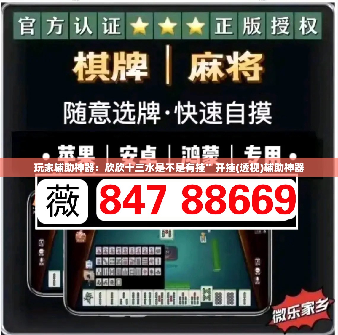 玩家辅助神器：欣欣十三水是不是有挂”开挂(透视)辅助神器
