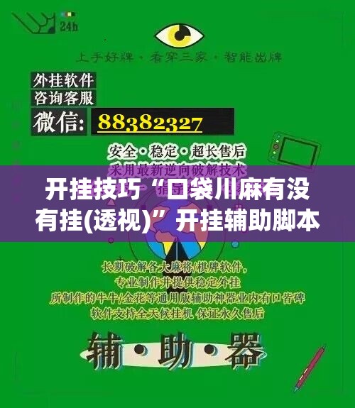 开挂技巧“口袋川麻有没有挂(透视)”开挂辅助脚本+详细开挂安装教程