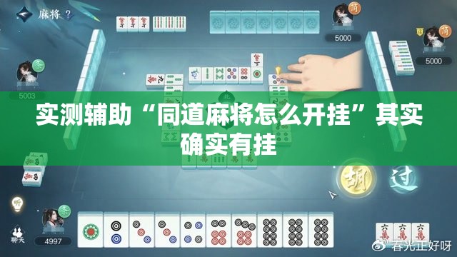 实测辅助“同道麻将怎么开挂”其实确实有挂