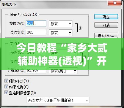 今日教程“家乡大贰辅助神器(透视)”开挂辅助脚本+详细开挂安装教程