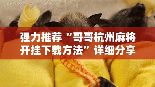 强力推荐“哥哥杭州麻将开挂下载方法”详细分享装挂步骤