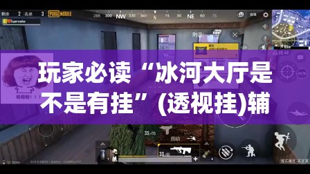 玩家必读“冰河大厅是不是有挂”(透视挂)辅助下载教程