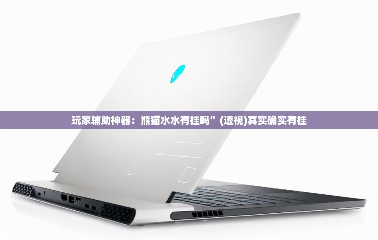玩家辅助神器：熊猫水水有挂吗	”(透视)其实确实有挂