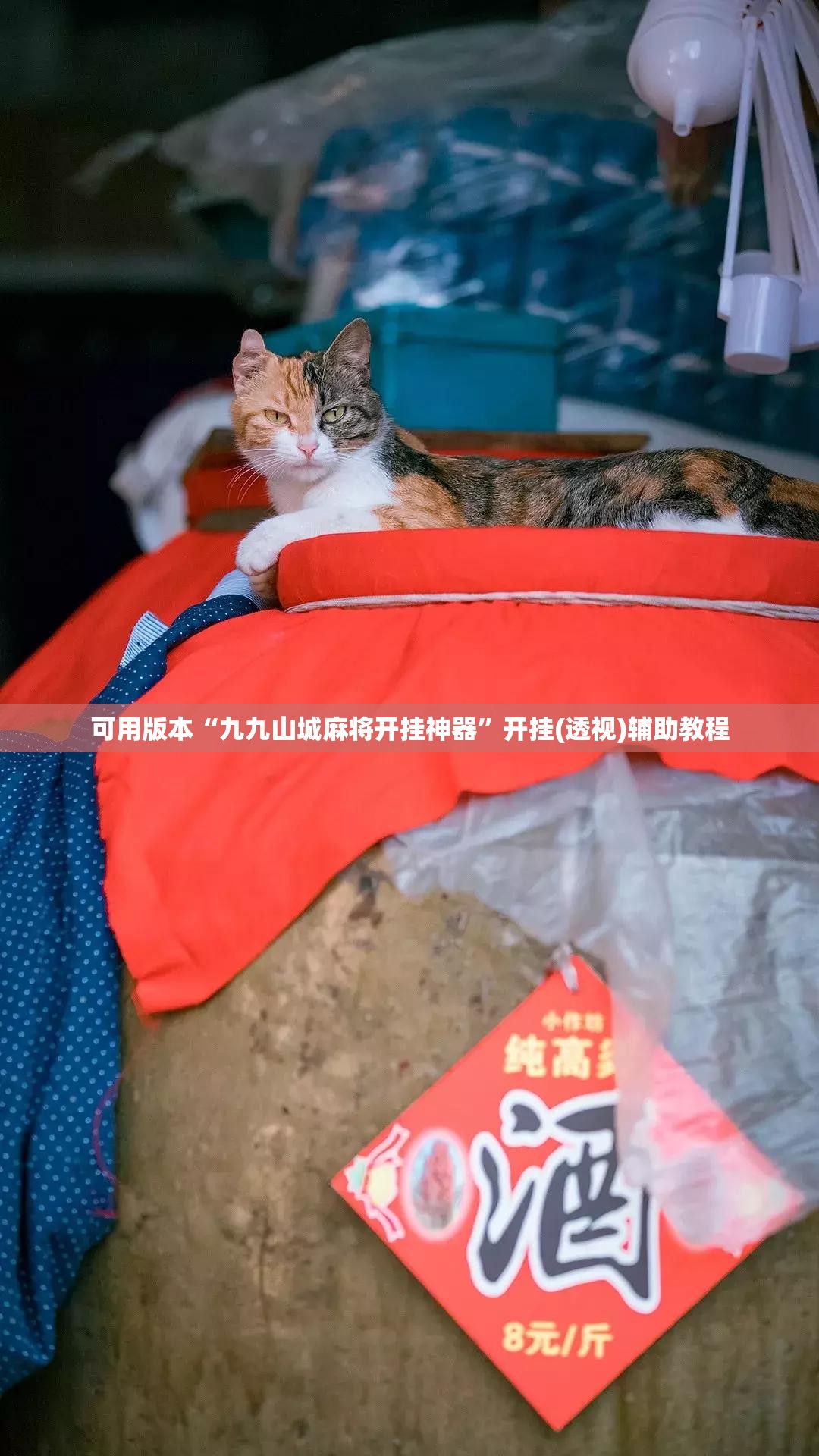 可用版本“九九山城麻将开挂神器	”开挂(透视)辅助教程